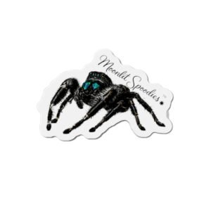 Jumping Spider Die-Cut Magnet — Cute Realistic Black Tarantula Fridge Magnet
